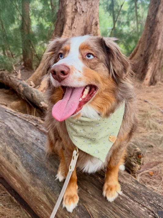 Green Floral Dog Bandana