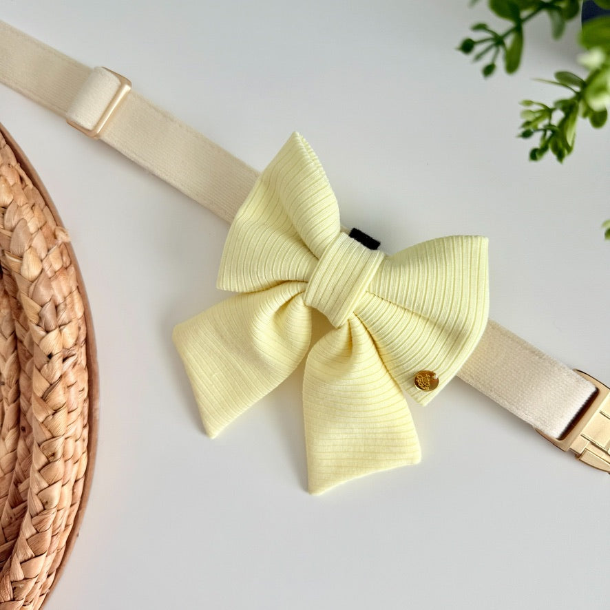 Summer Stripes Pet Bow