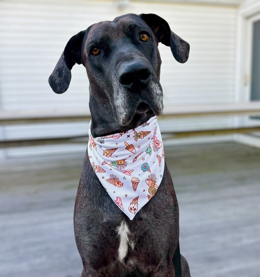 Wicked Swirl Pet Bandana