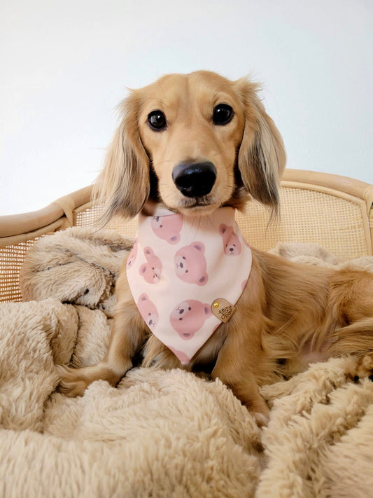 Bear Bliss Pet Bandana
