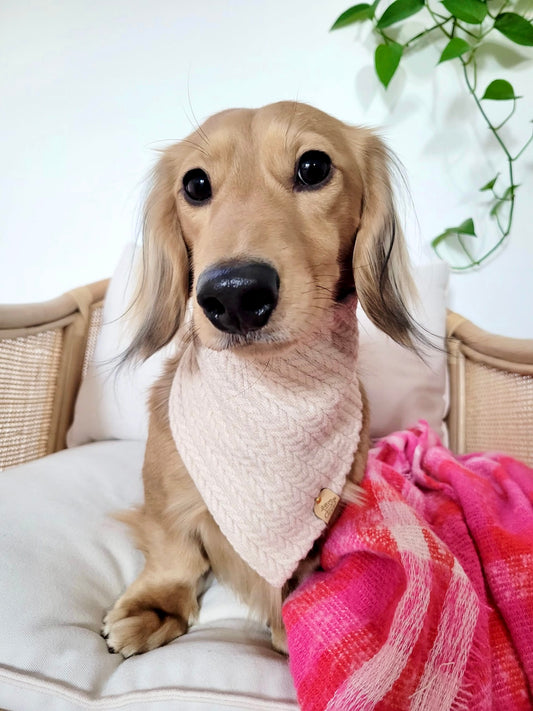 Beige Knit Pet Bandana