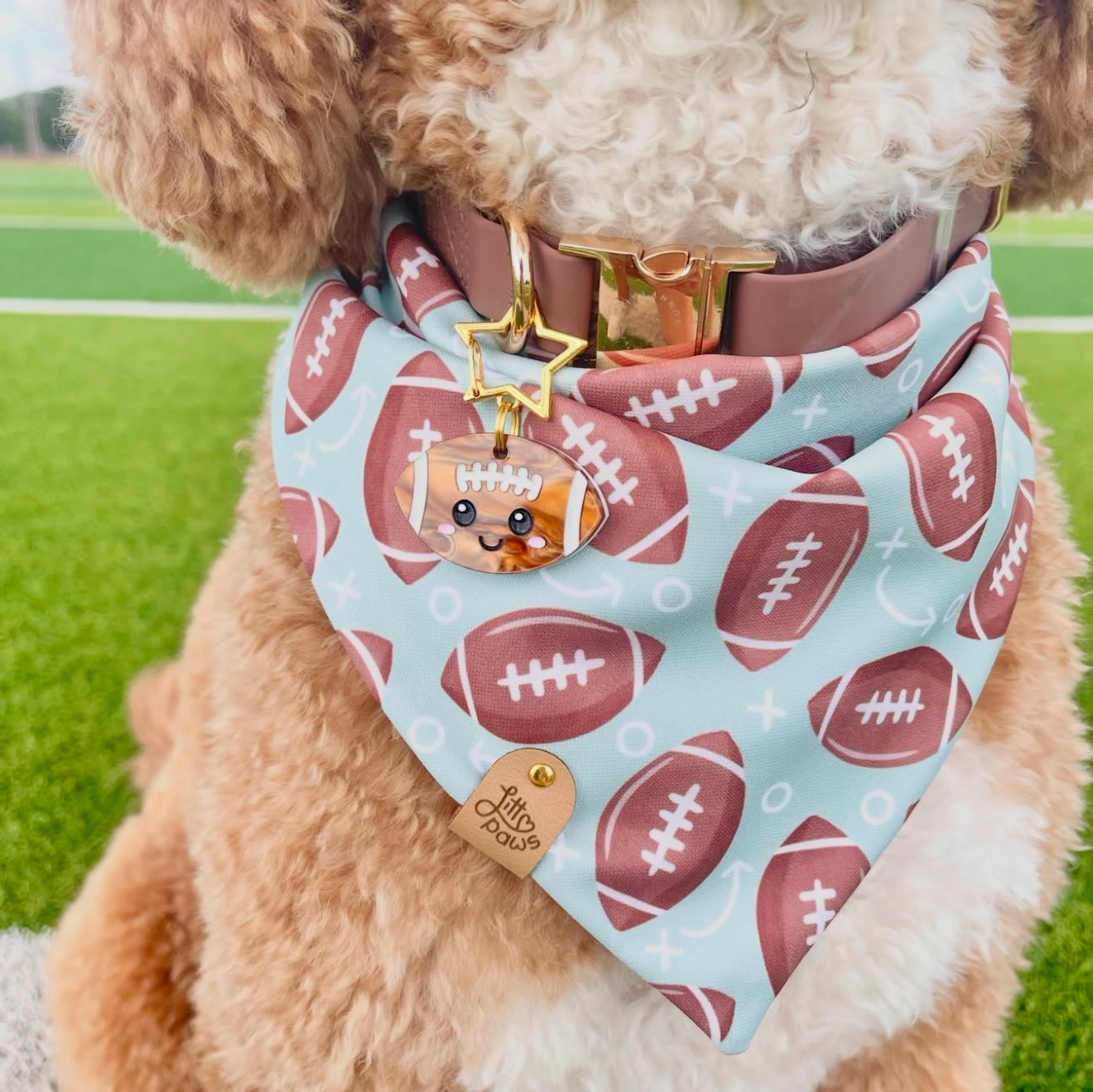 Football Pet Bandana