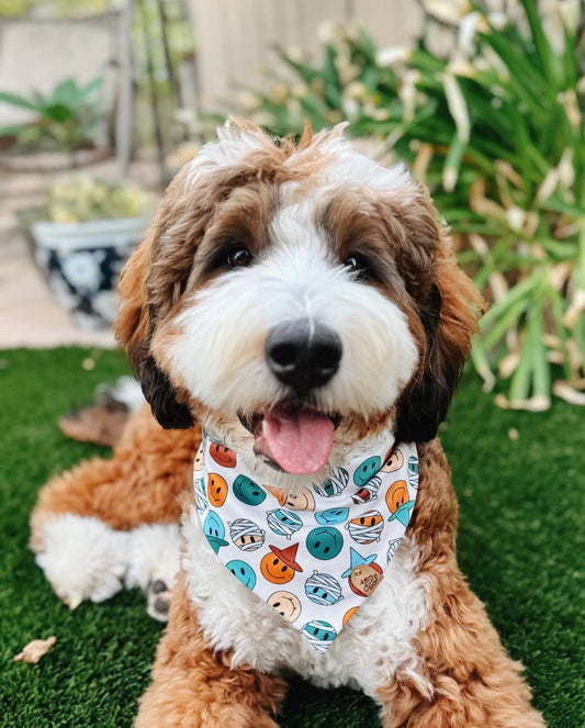 Spooky Smiles Pet Bandana