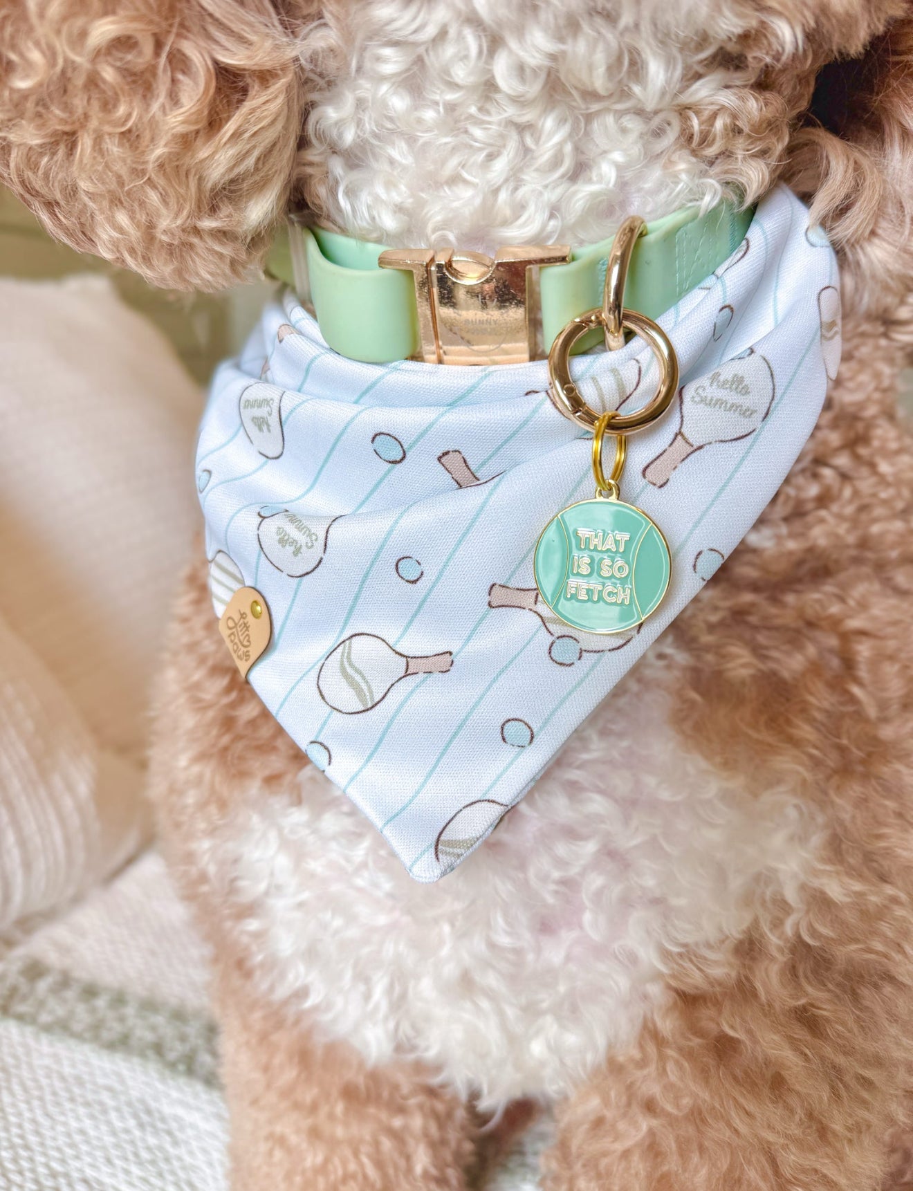 Sun & Games Dog Bandana