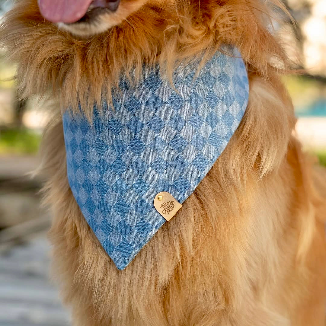Denim Gingham Dog Bandana
