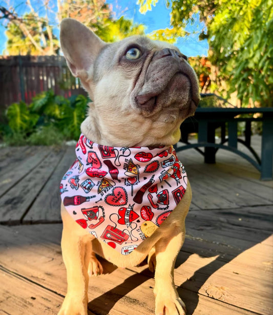 Anti-Valentine Pet Bandana