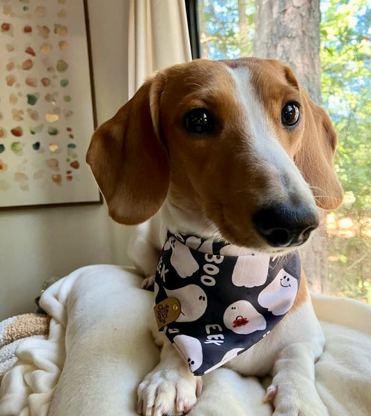Spooky Ghosts Pet Bandana