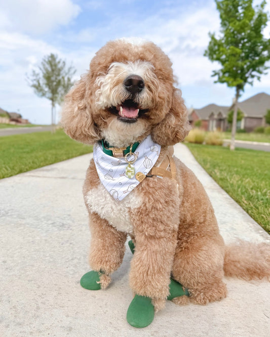 Sun & Games Dog Bandana