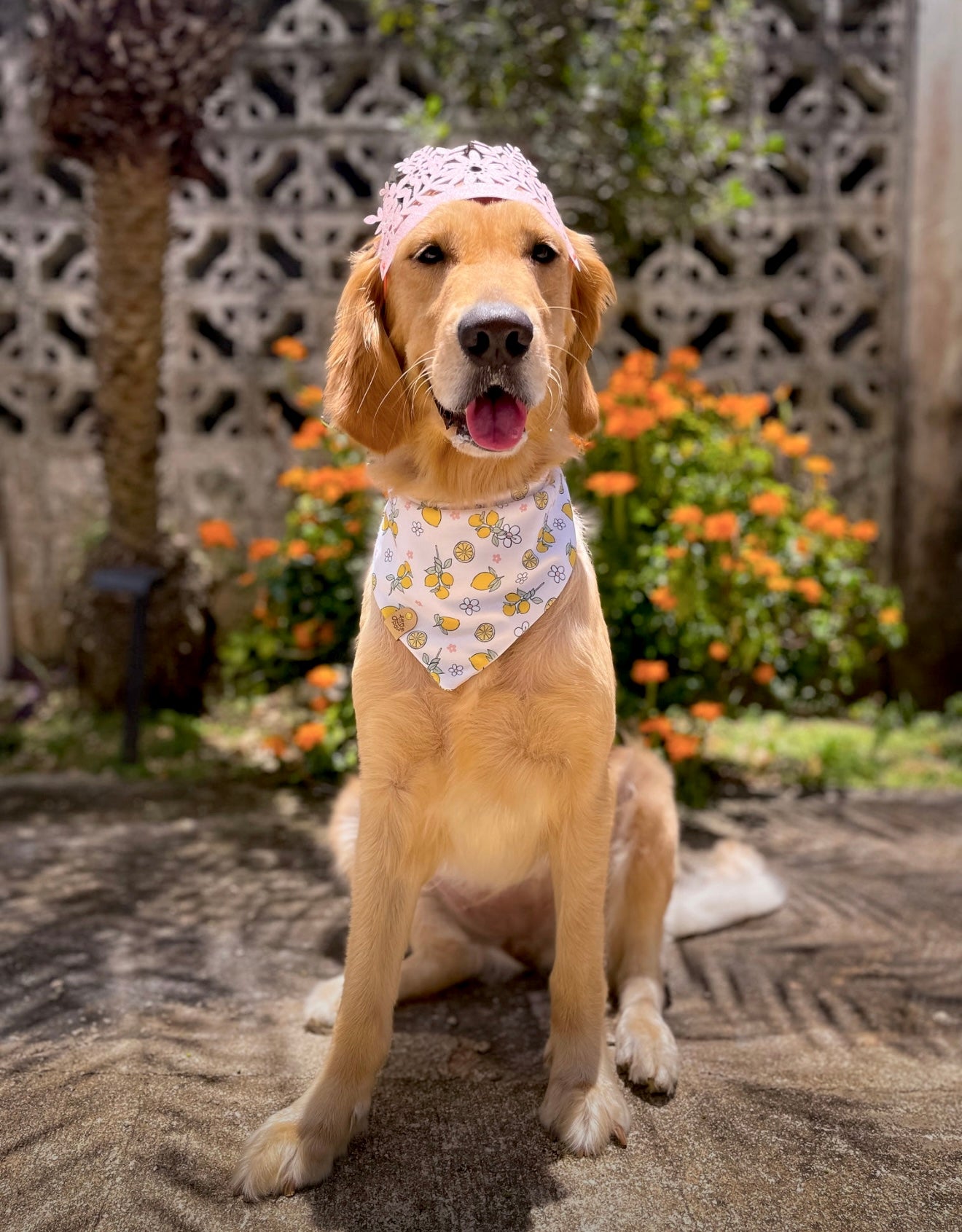 Lemon Bloom Dog Bandana