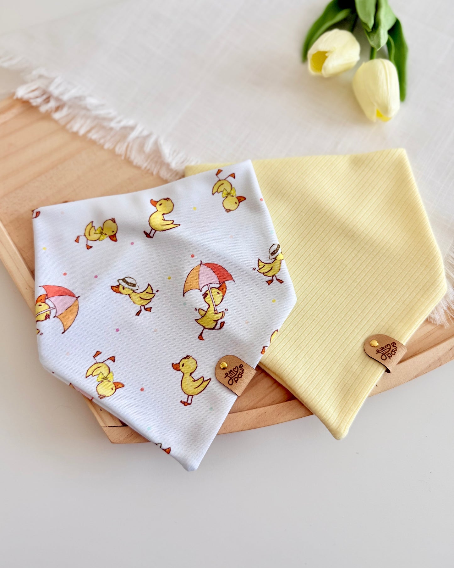 Spring Ducks Dog Bandana