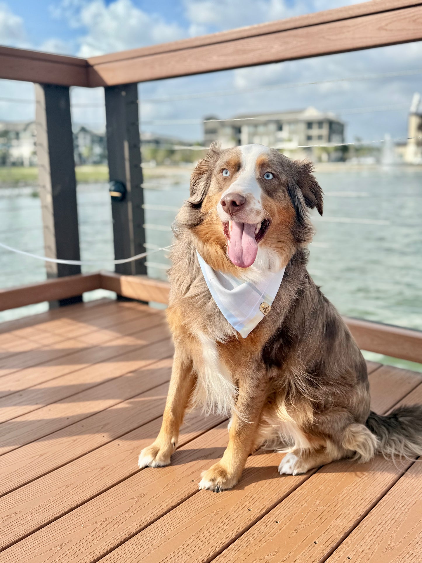 Spring Plaid Dog Bandana