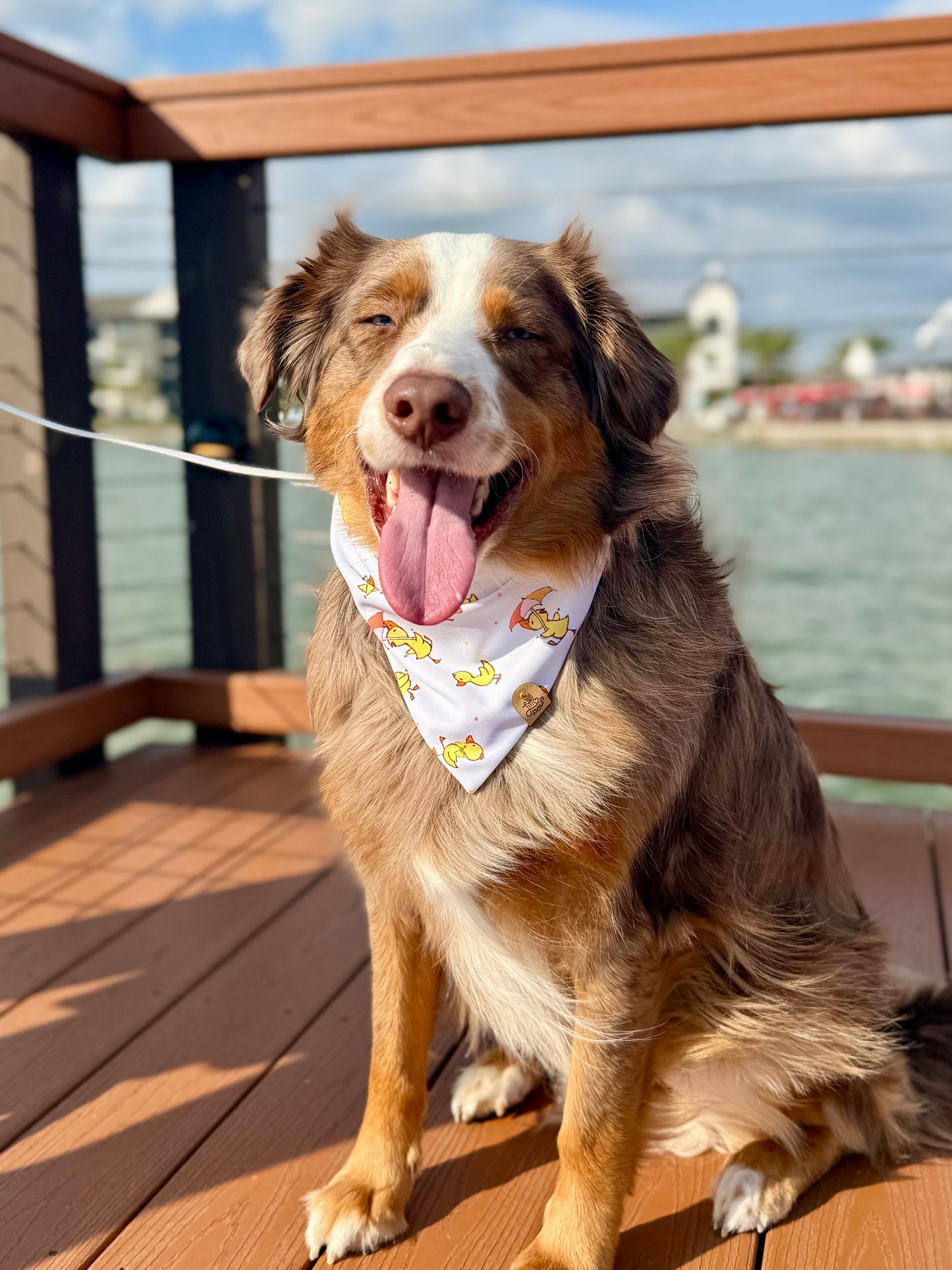 Spring Ducks Dog Bandana