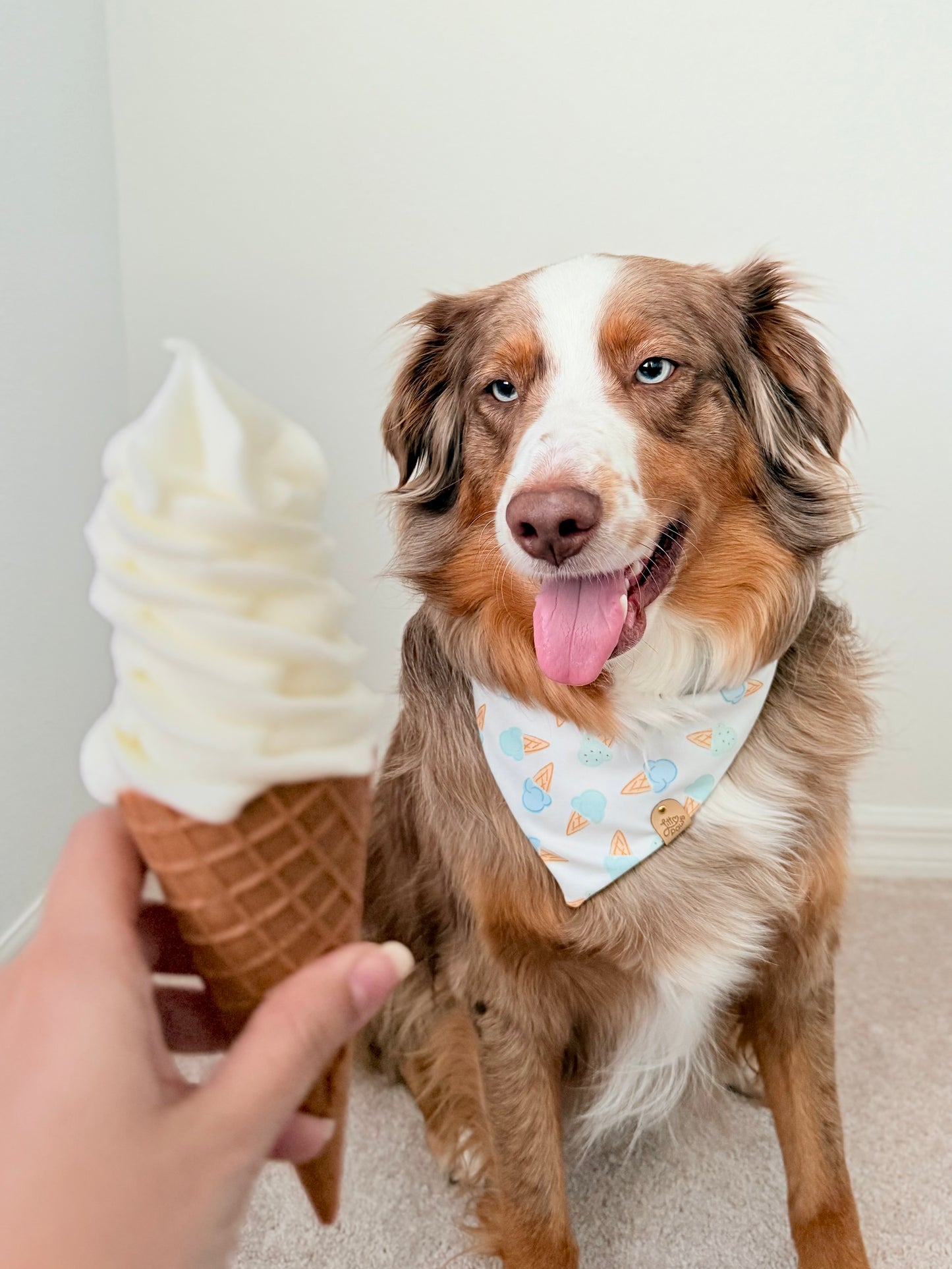 Soft Serve Dog Bandana