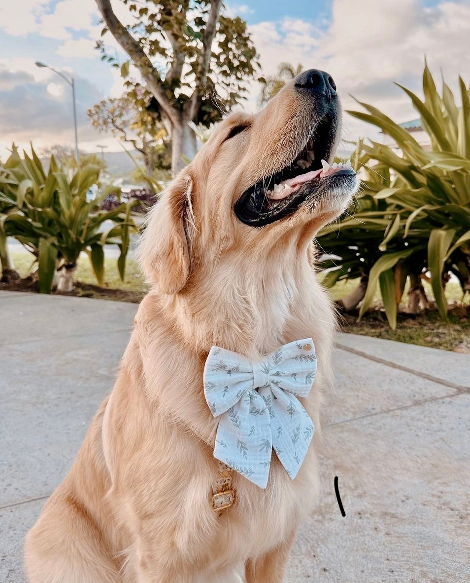 Knit Nature Pet Bow