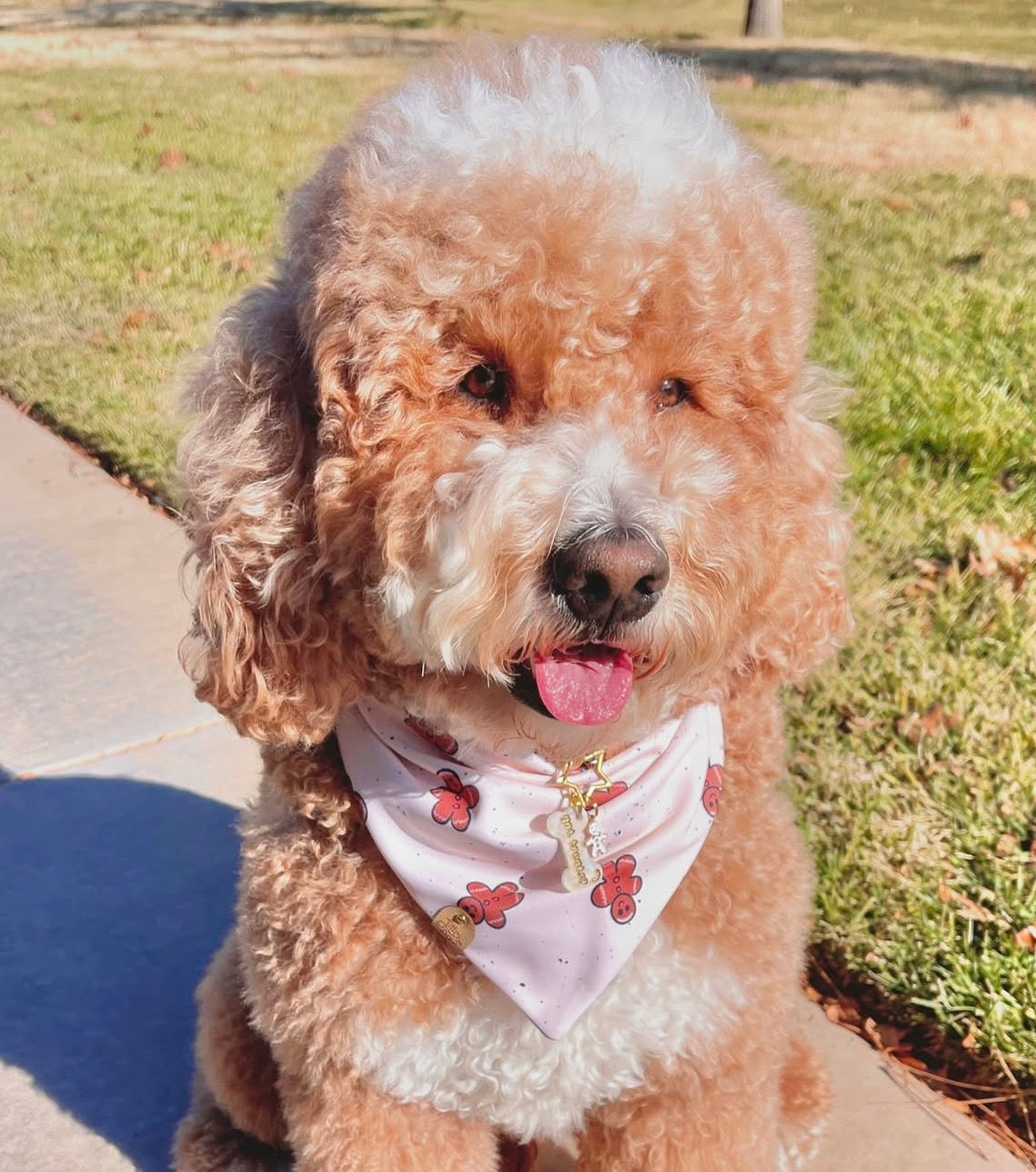 Gingerbread Pet Bandana
