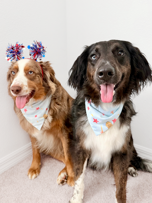 Fourth of July Dog Bandana