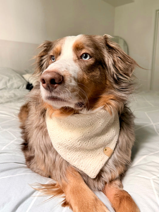 Floral Embroidered Dog Bandana