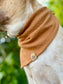 Cozy Knit Fall Pet Bandana