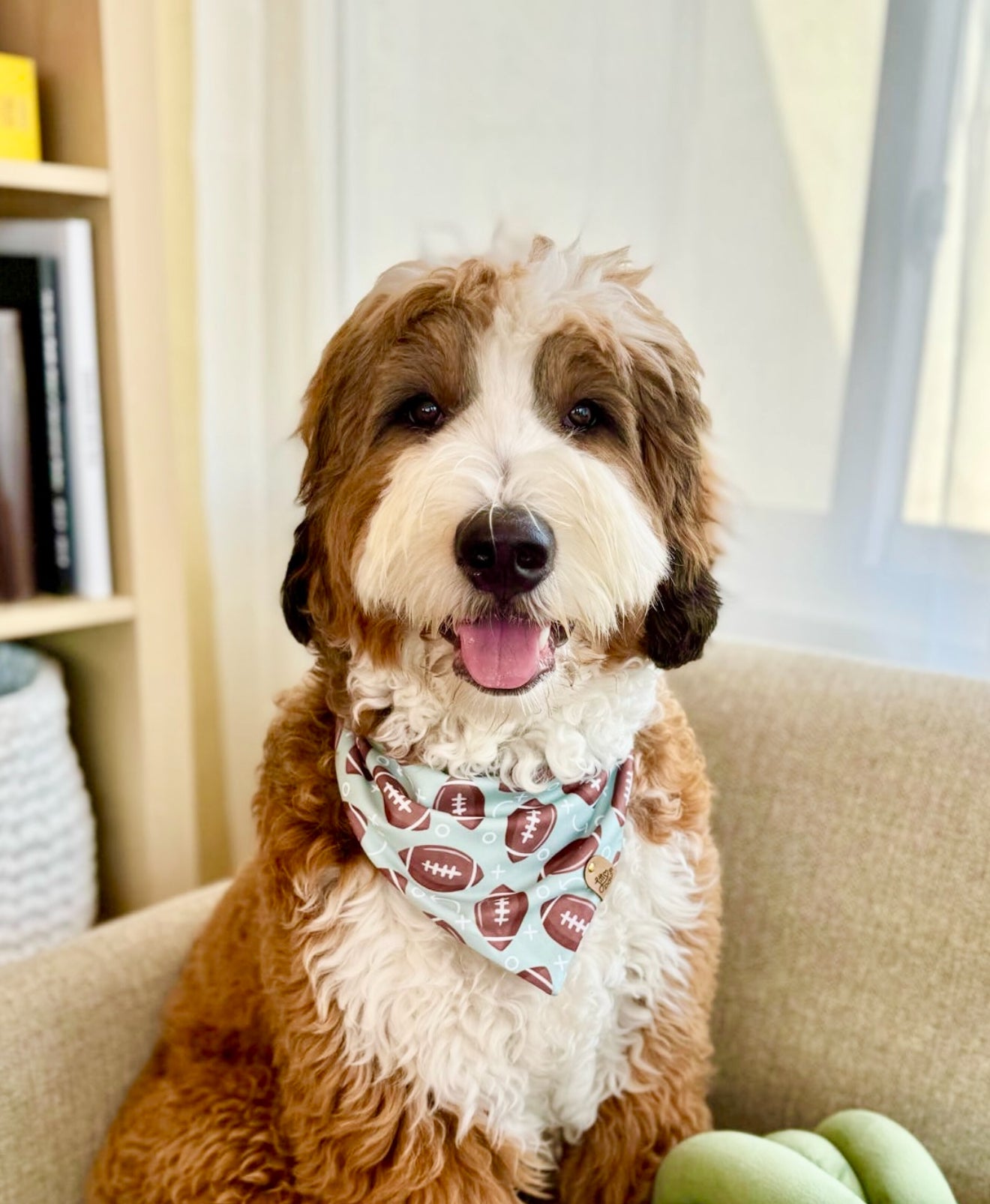 Football Pet Bandana