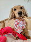 Crab and Sand Castles Pet Bandana