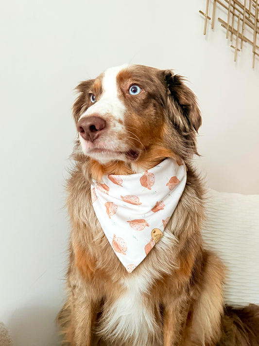 Highland Cow Dog Bandana