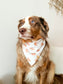 Highland Cow Dog Bandana