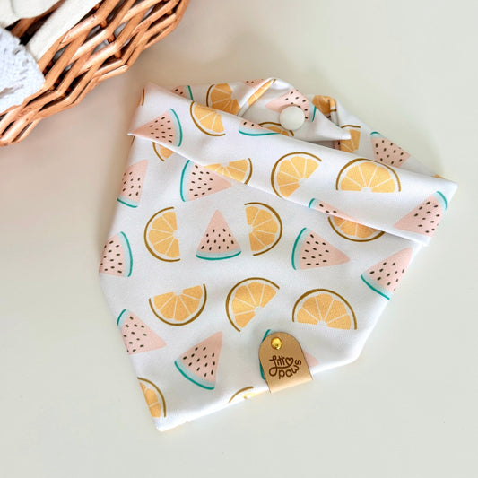 Citrus Splash Dog Bandana
