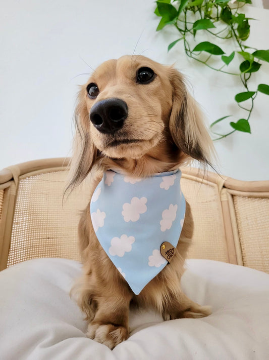 On Cloud Nine Pet Bandana