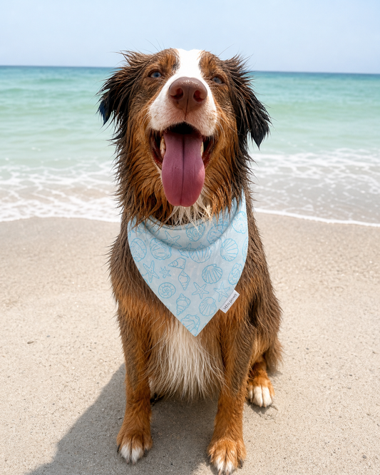 Seashell Cove Dog Bandana