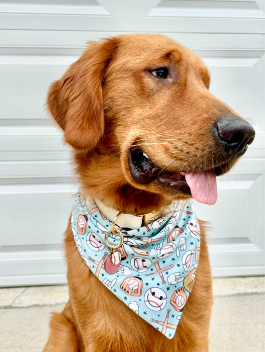Baseball Pet Bandana