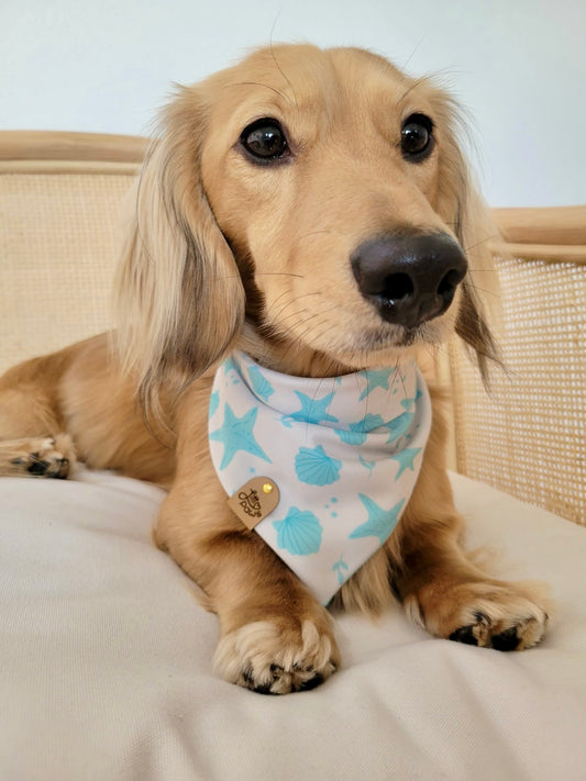 Blue Seashells Pet Bandana