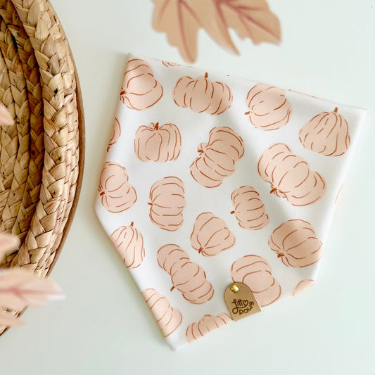 Pumpkin Patch Pet Bandana