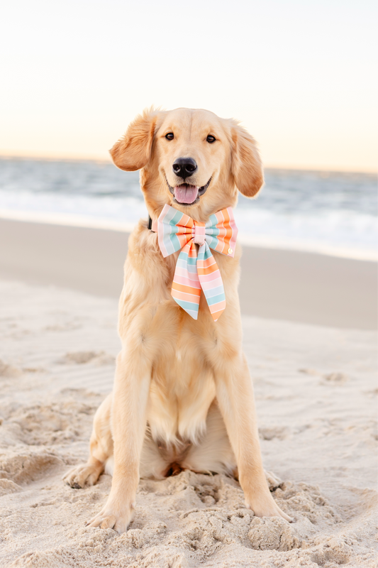 Summer Stripes Pet Bow