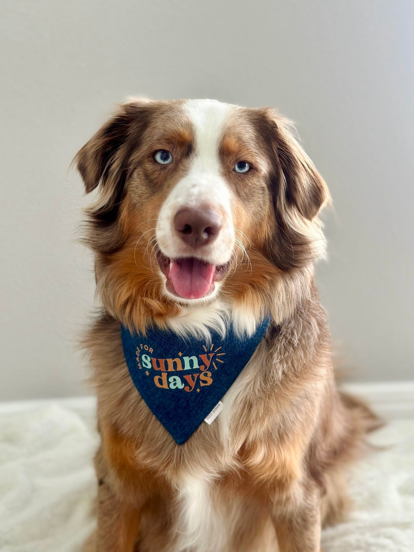 Made For Sunny Days Pet Bandana