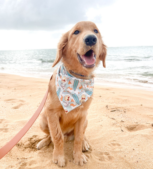 Retro Surfing Pet Bandana