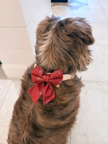 Holiday Gift Box Dog Bow