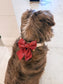 Holiday Gift Box Dog Bow