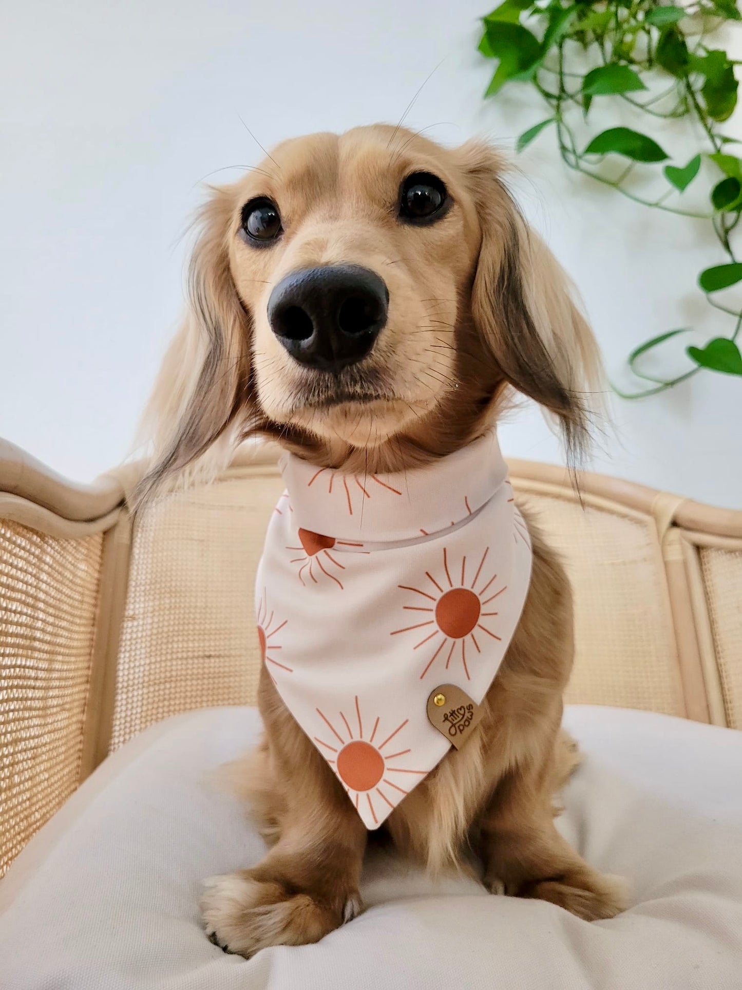 Sunny Skies Pet Bandana