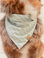 Fundraiser for Levi Dog Bandana