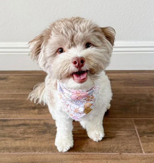 Spring Bloom - Flower Dog Bandana