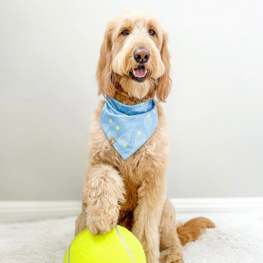 Tennis Pet Bandana