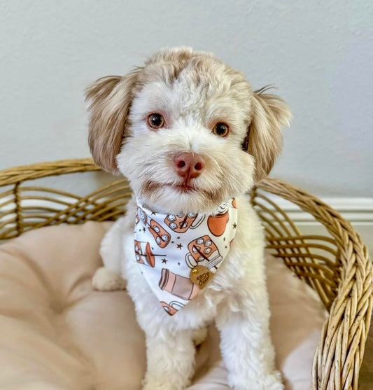 Falling for Coffee Pet Bandana