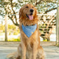 Denim Gingham Dog Bandana