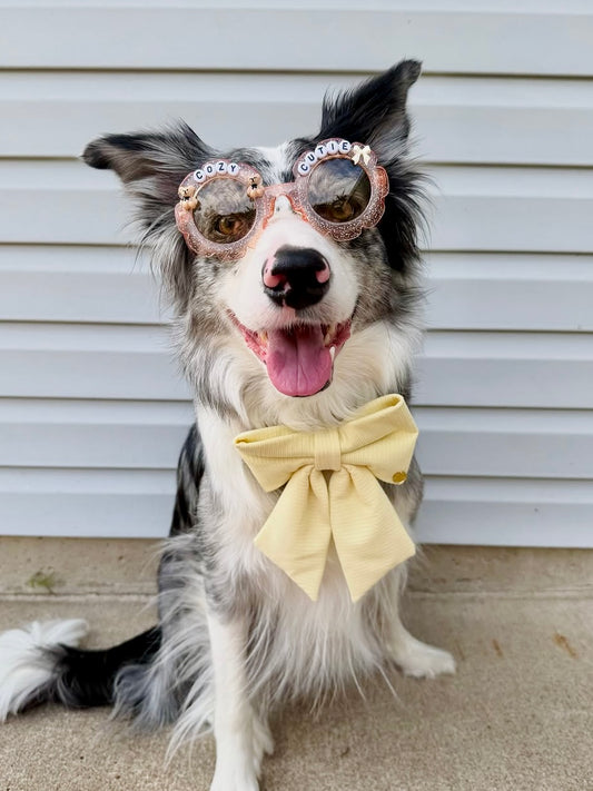 Springtime Sunshine - Yellow Knit Dog Bow