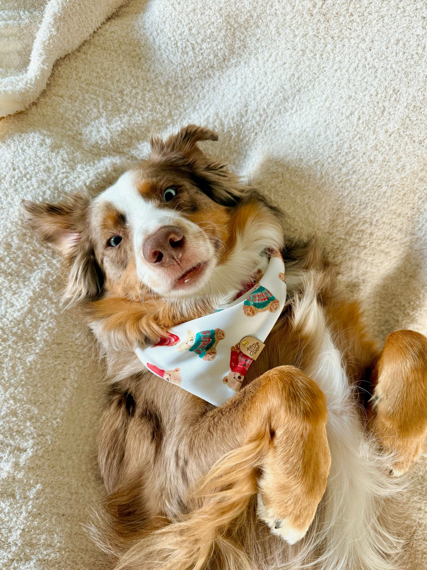 Cozy Christmas Bears Pet Bandana