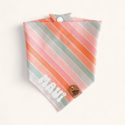 Summer Stripes Pet Bandana