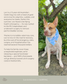 Fundraiser for Levi Dog Bandana