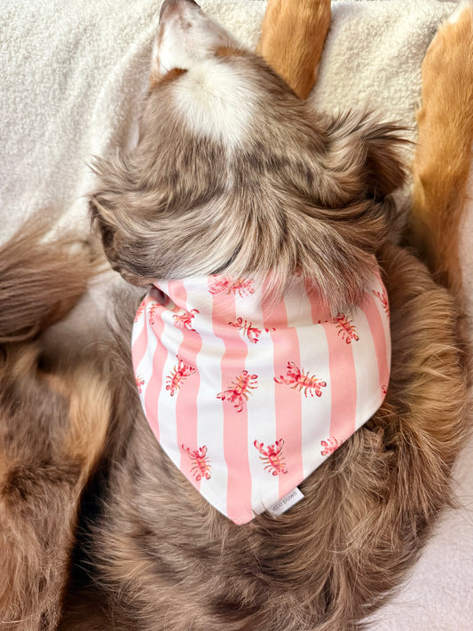 Lobster Roll Dog Bandana