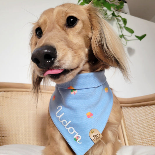 Butterflies Pet Bandana