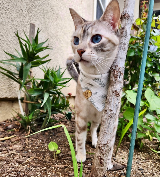 Knit Nature Pet Bandana